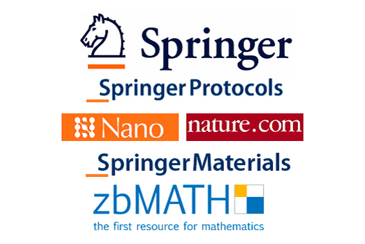 Издательства Springer nature. Ресурсы Springer nature. Springer nature logo. Springer nature – издатель научных книг.